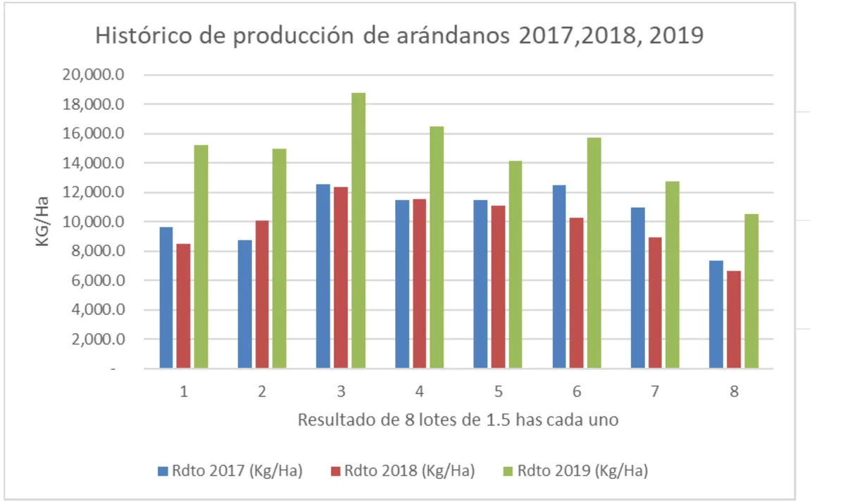 Gráfico de barras original del registro: rendimiento de arándano en kilos por hectárea en los ocho lotes, campañas 2017, 2018 y 2019
